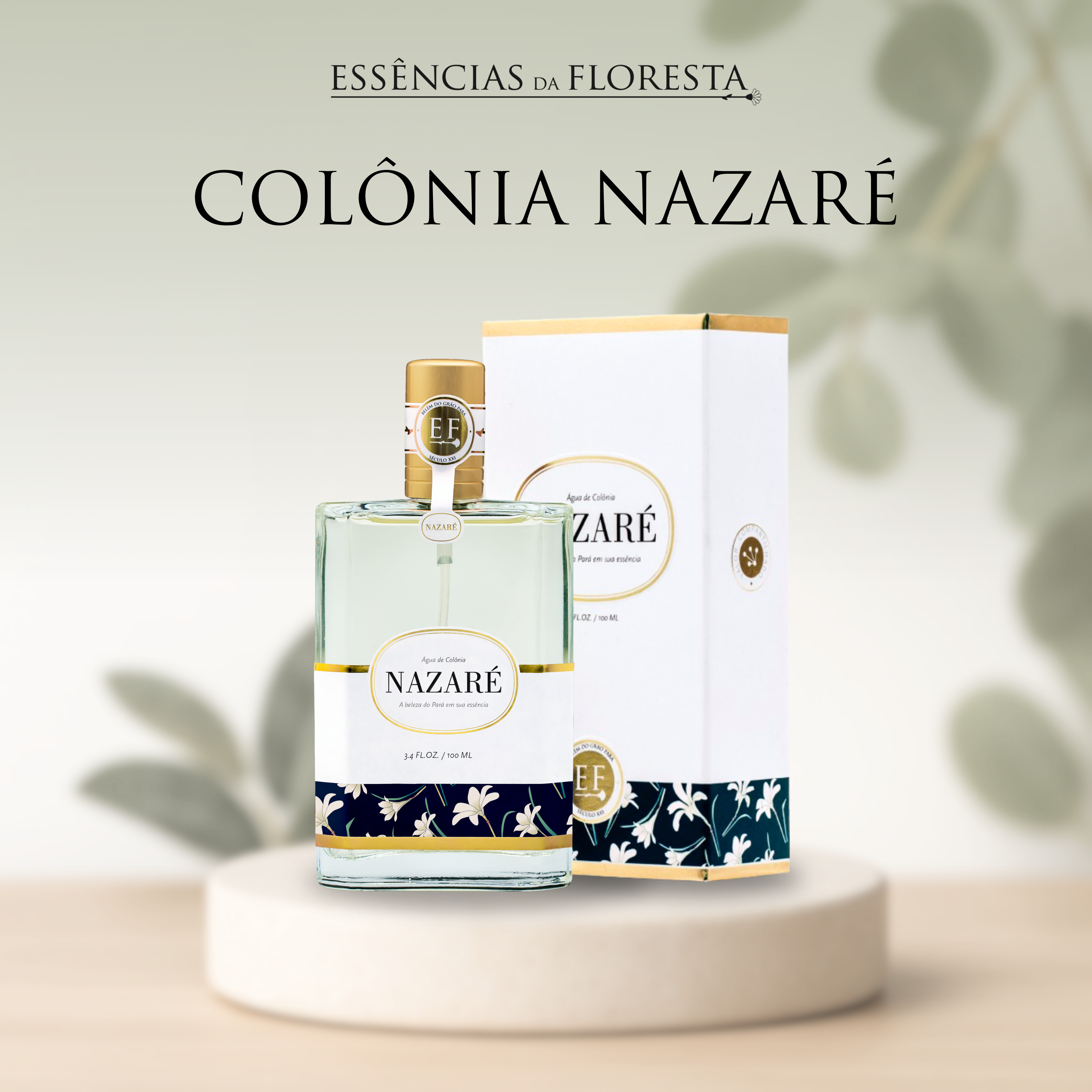Colônia Nazaré