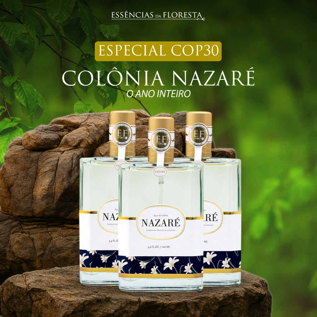 Nazaré o Ano inteiro-2.png__PID:9b4c7713-674d-40d2-9d49-676b6300028d